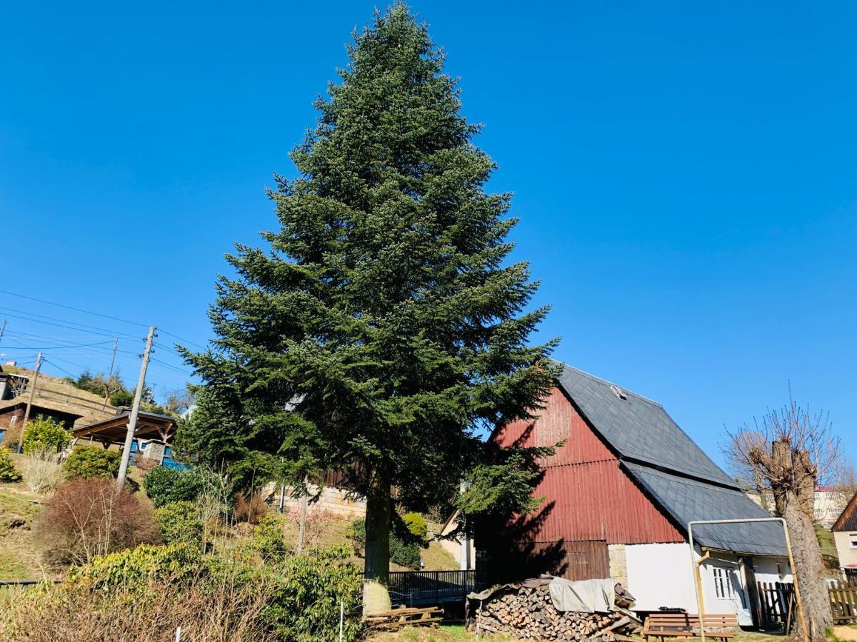 Naturhof Kluge Saupsdorf Екстер'єр фото