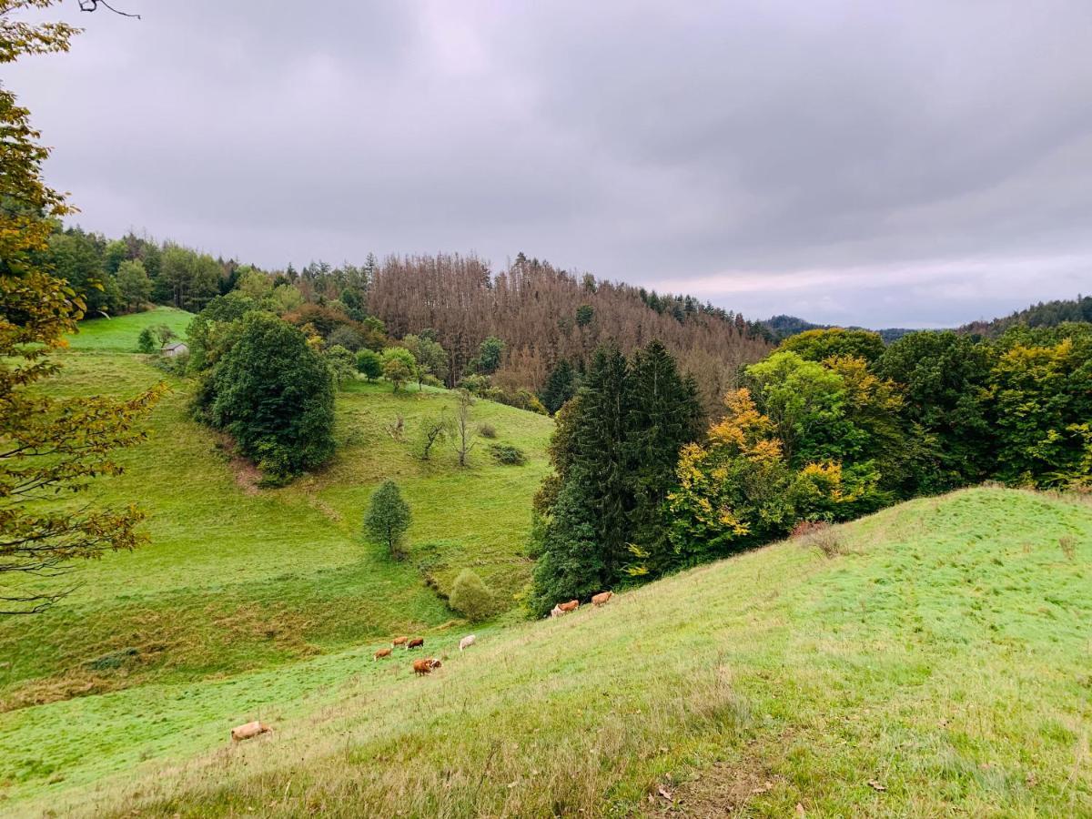 Naturhof Kluge Saupsdorf Екстер'єр фото
