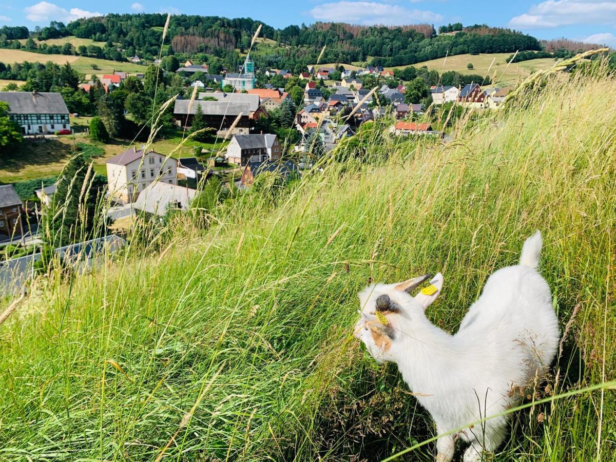 Naturhof Kluge Saupsdorf Екстер'єр фото