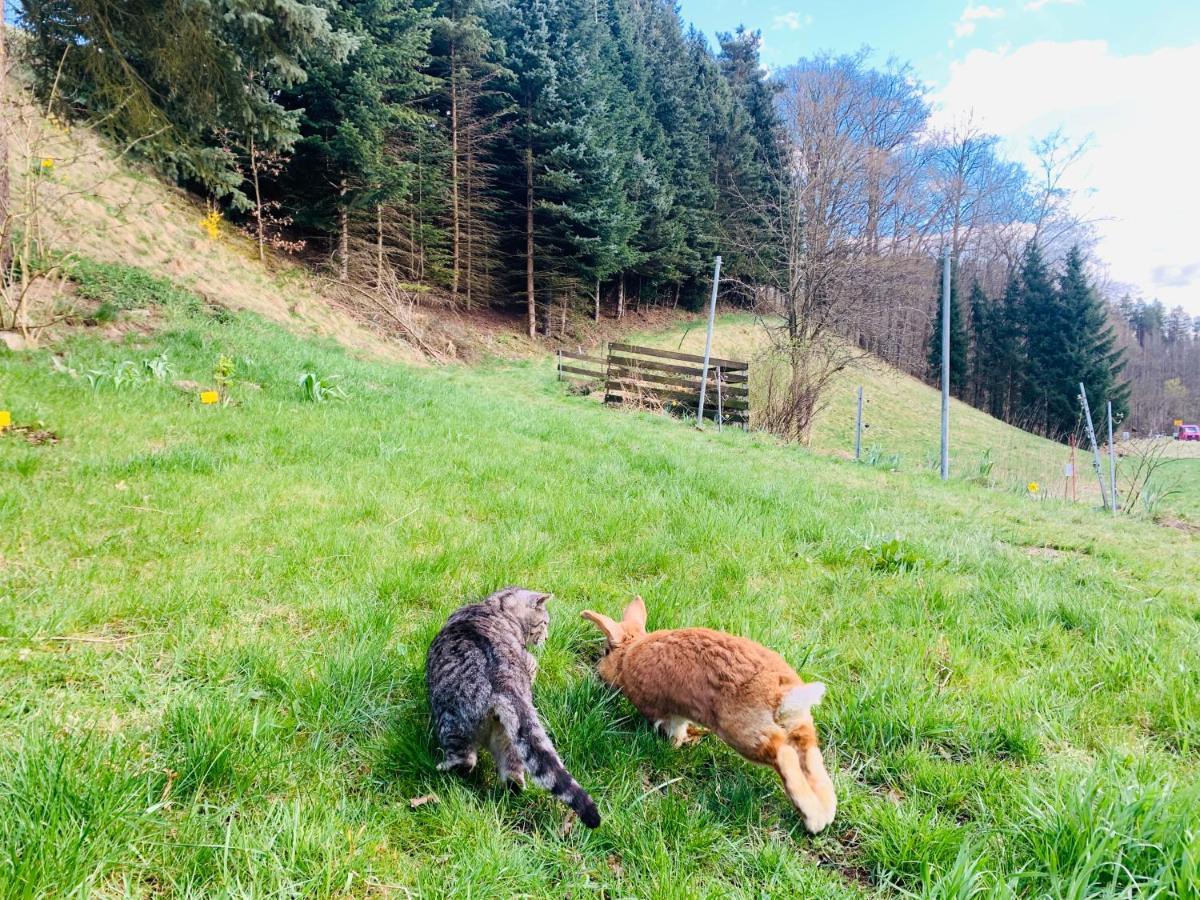 Naturhof Kluge Saupsdorf Екстер'єр фото