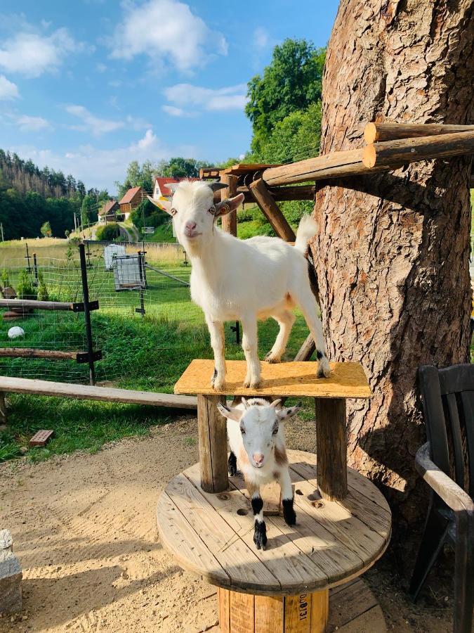 Naturhof Kluge Saupsdorf Екстер'єр фото